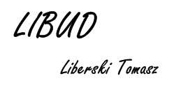 Libud - Firma Remontowo-Budowlana (no-logo)